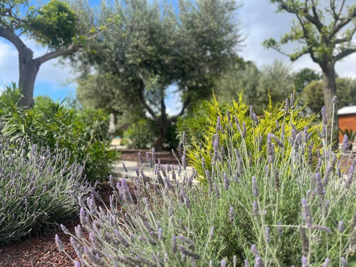 Maison Dei Trulli Apartamento Locorotondo Exterior foto